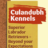 Almonte website for Culandubh Kennels